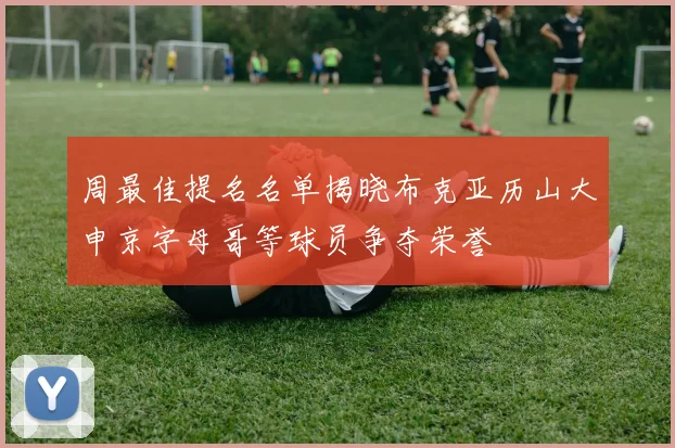 周最佳提名名单揭晓布克亚历山大申京字母哥等球员争夺荣誉