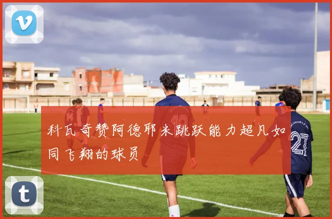 科瓦奇赞阿德耶米跳跃能力超凡如同飞翔的球员