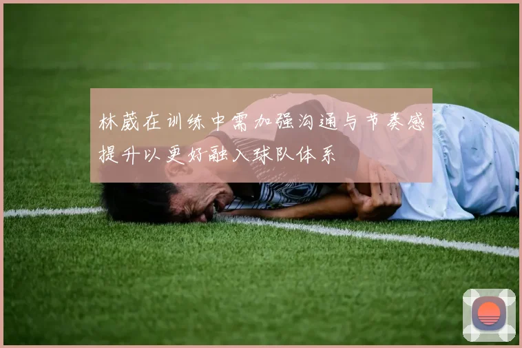 林葳在训练中需加强沟通与节奏感提升以更好融入球队体系
