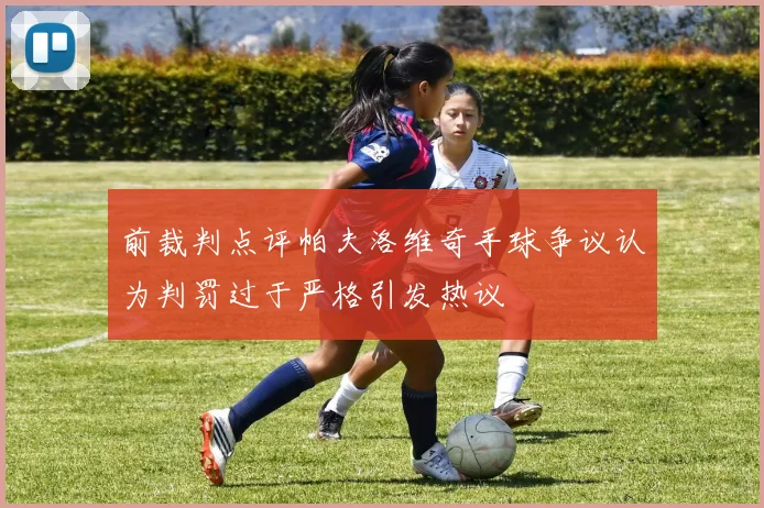 前裁判点评帕夫洛维奇手球争议认为判罚过于严格引发热议